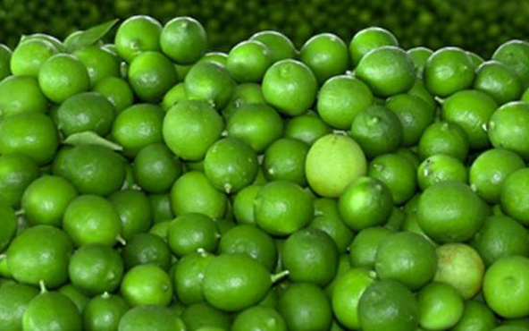 Limón mexicano