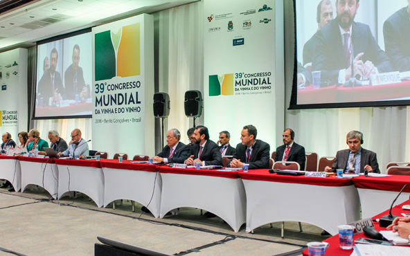 161101_jnn_brasil-1