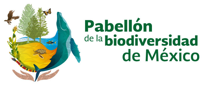 pabellon-de-la-biodiversidad-logo