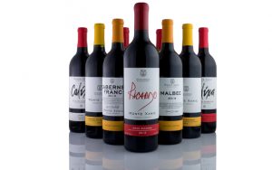 Vino Monte Xanic