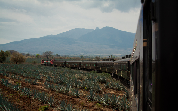 Recorrido José Cuervo