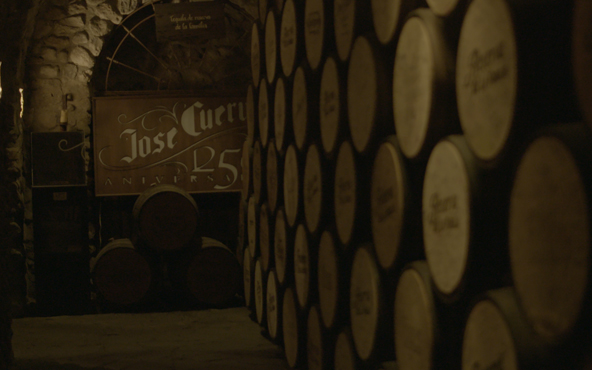 El tour incluye una visita a la planta de José Cuervo