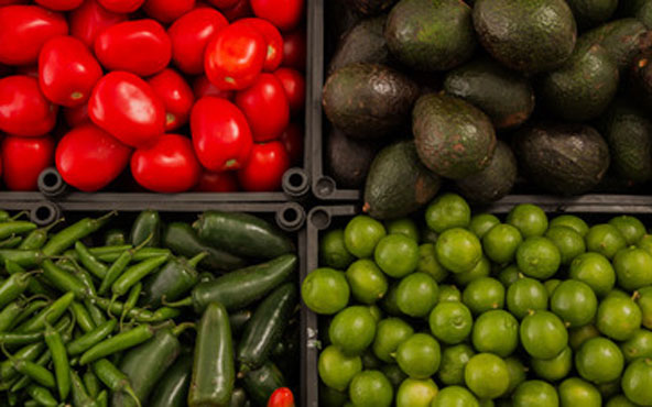 Productos exportación SAGARPA