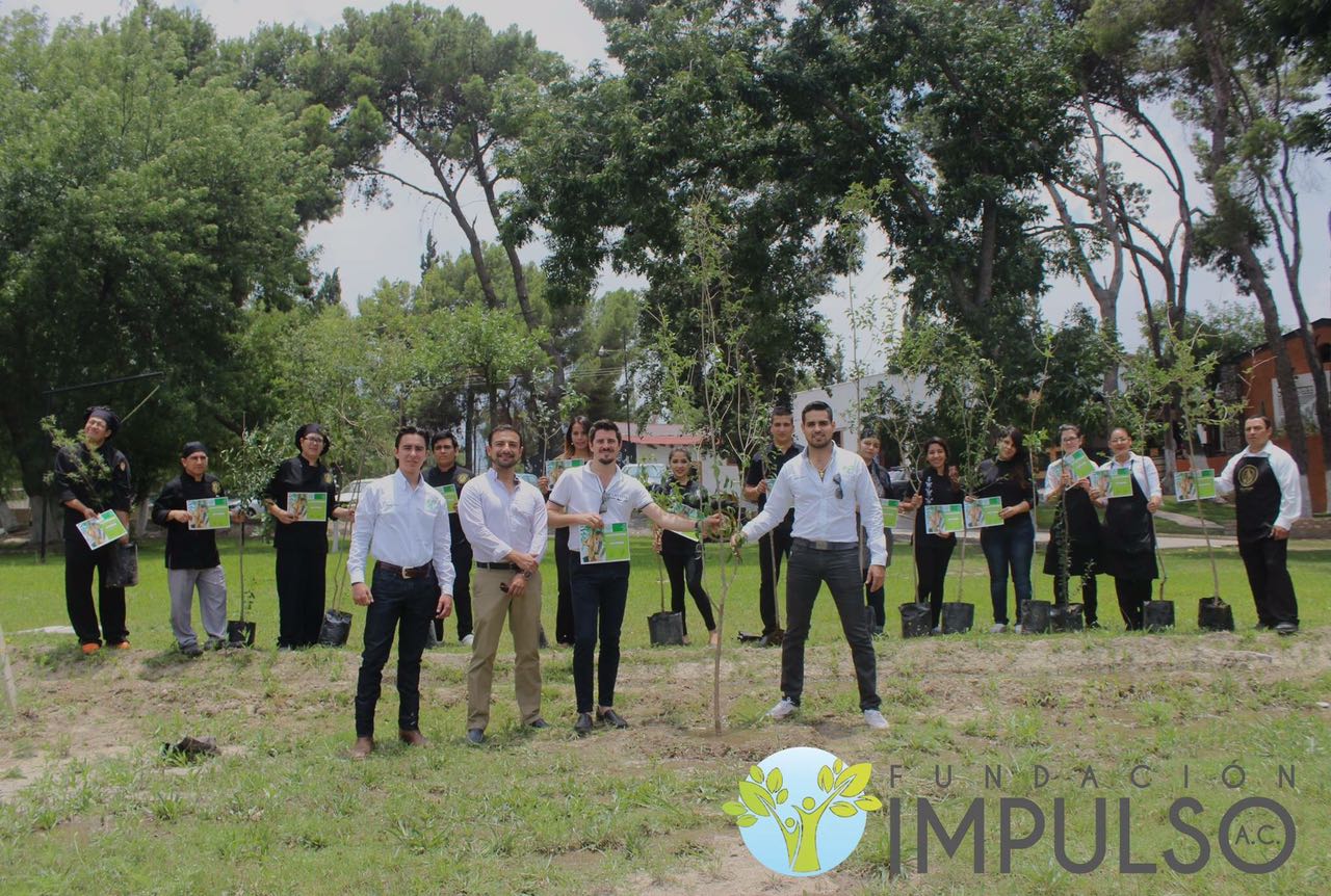 Reforestación realizada por la Fundación Impulso