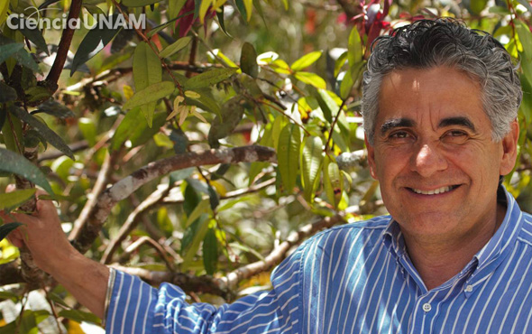 Gerardo Ceballos, director del Laboratorio de Ecología y Conservación de Fauna Silvestre de la Universidad Nacional Autónoma de México