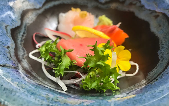 Sashi Mixto en Zoku